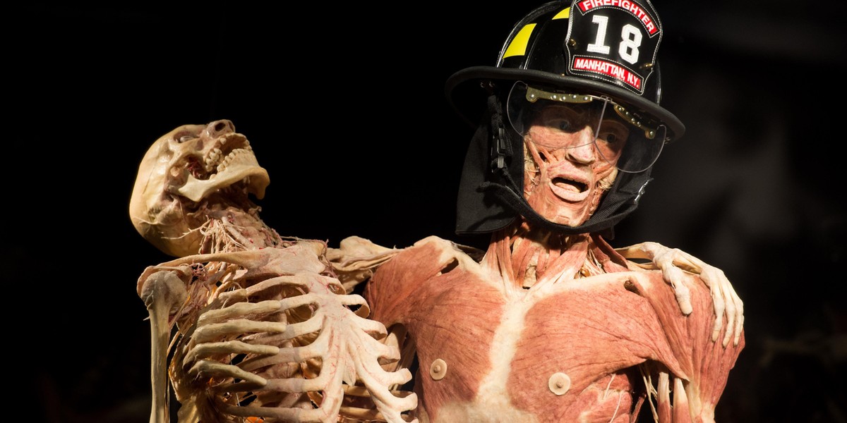 Wystawa Body Worlds Vital w Katowicach