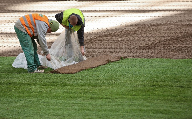 Układają trawę na Stadionie Narodowym. Czy znów grozi nam kompromitacja na oczach świata?