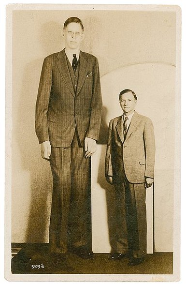 Robert Wadlow – człowiek, który dorósł do wysokości 2,72 m ze swoim ojcem (po prawej) w 1937 roku (licencja: domena publiczna)