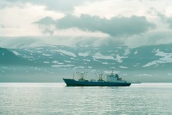 Spór o Wyspy Kurylskie. Rosja zawiesza umowę o połowie ryb z Japonią