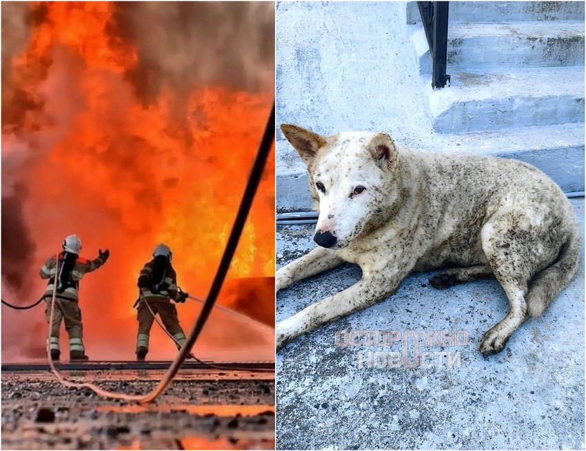 "Kiša nafte" u ruskom gradu Tuapseu