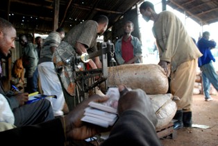 Słaby dolar skłania do inwestowania w kawę