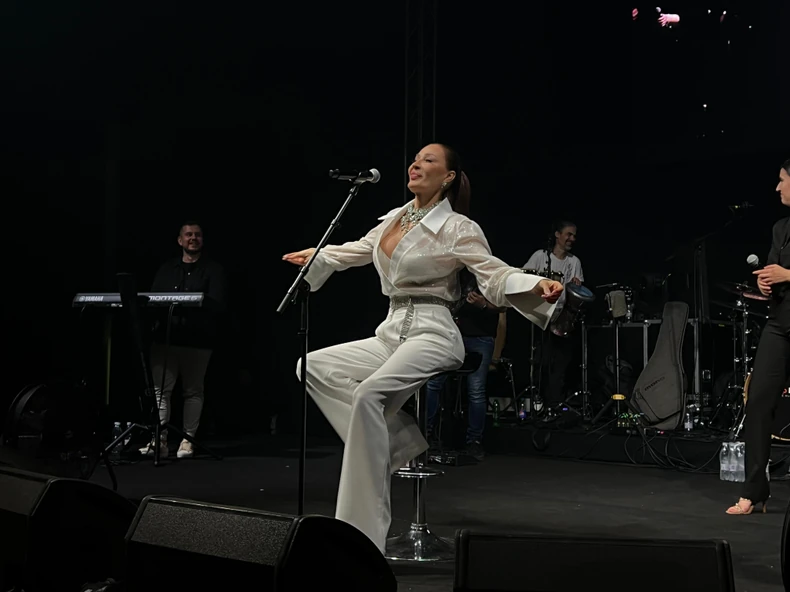 Ceca Ražnatović, koncert