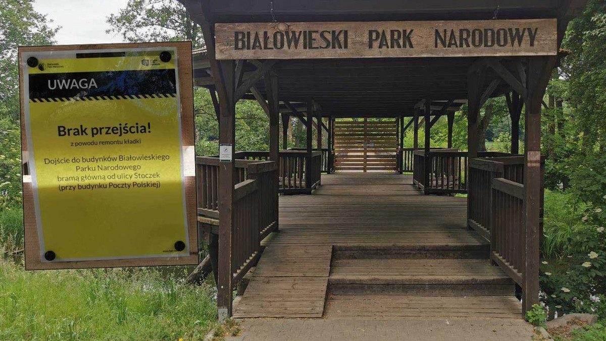 Dyrekcja Białowieskiego Parku Narodowego zamknęła przejście do parku. Ludzie są oburzeni