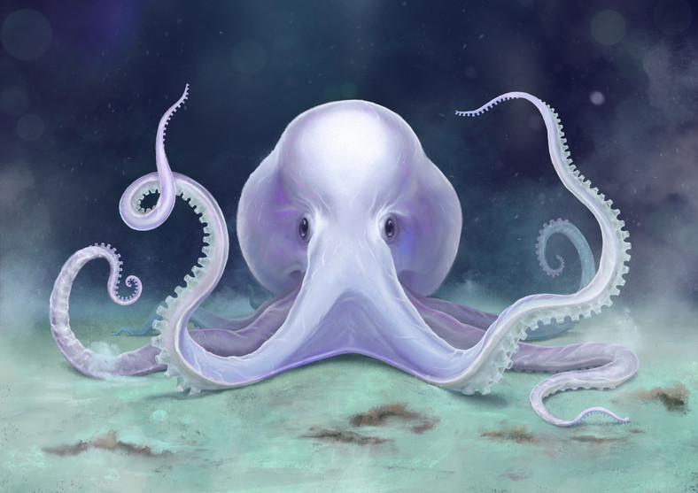 Ghost octopus - rysunek produkcji Willson Media