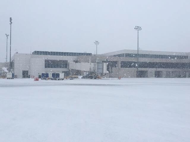 epa06416778 - USA WEATHER SNOWFALL (Southern snowfall in Charleston, South Carolina, USA)