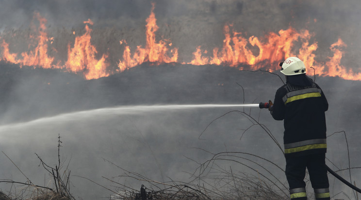 4300 szabadtéri tűz volt és 3600 focipályányi terület égett le idén Magyarországon / Fotó: Fuszek Gábor