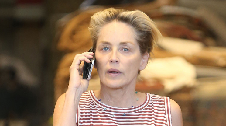 Sharon Stone távoltartási végzést kért / Fotó: Northfoto