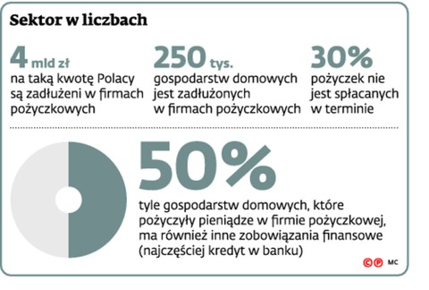 Sektor w liczbach