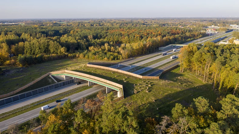 Przejście dla zwierząt nad autostradą