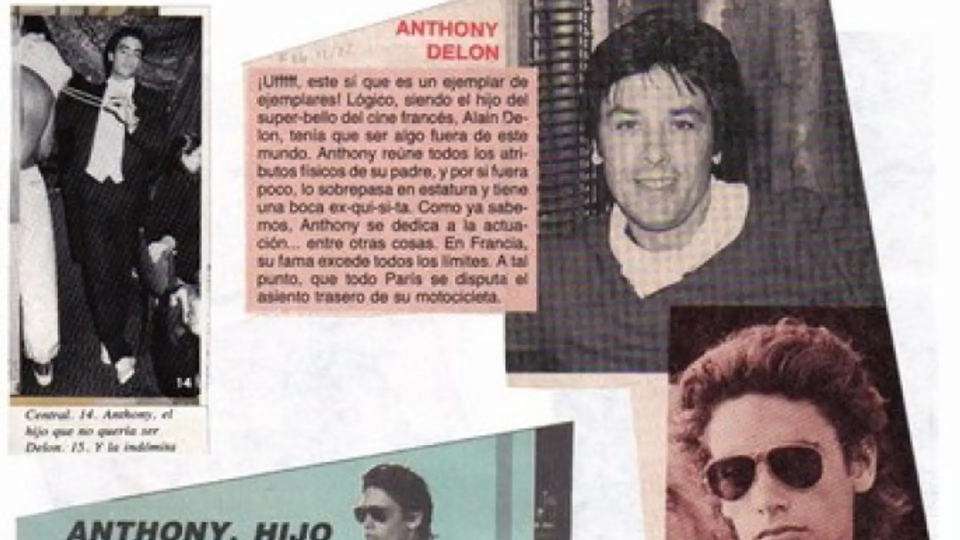 Anthony Delon - Albumy fanów