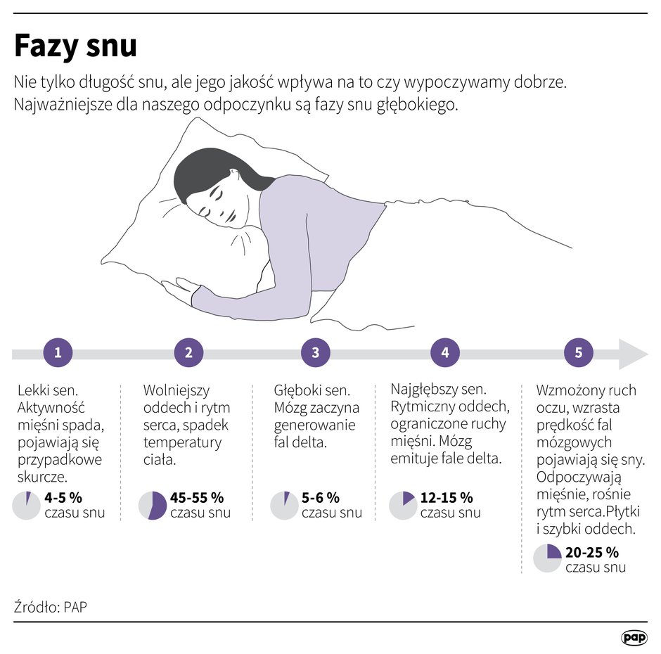 fazy snu - infografika