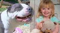2-latka dwa dni błąkała się po lesie, do domu zaprowadził ją pies
