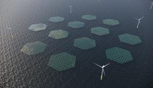 Illustration of an Offshore Wind Farm combined with floating solar, which will be constructed by Anansi off the coasts of Ningo and Anloga