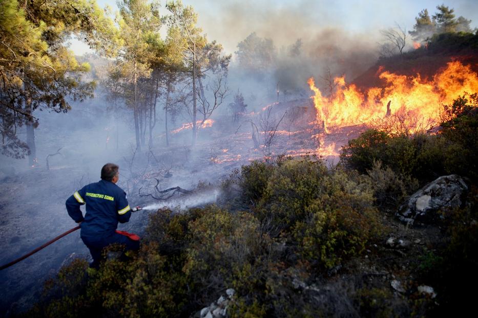 A görök tűzoltók napok óta ádáz harcot folytatnak az amúgy is fokoli hőségben az erdőtűzzel / Fotó: Profimedia