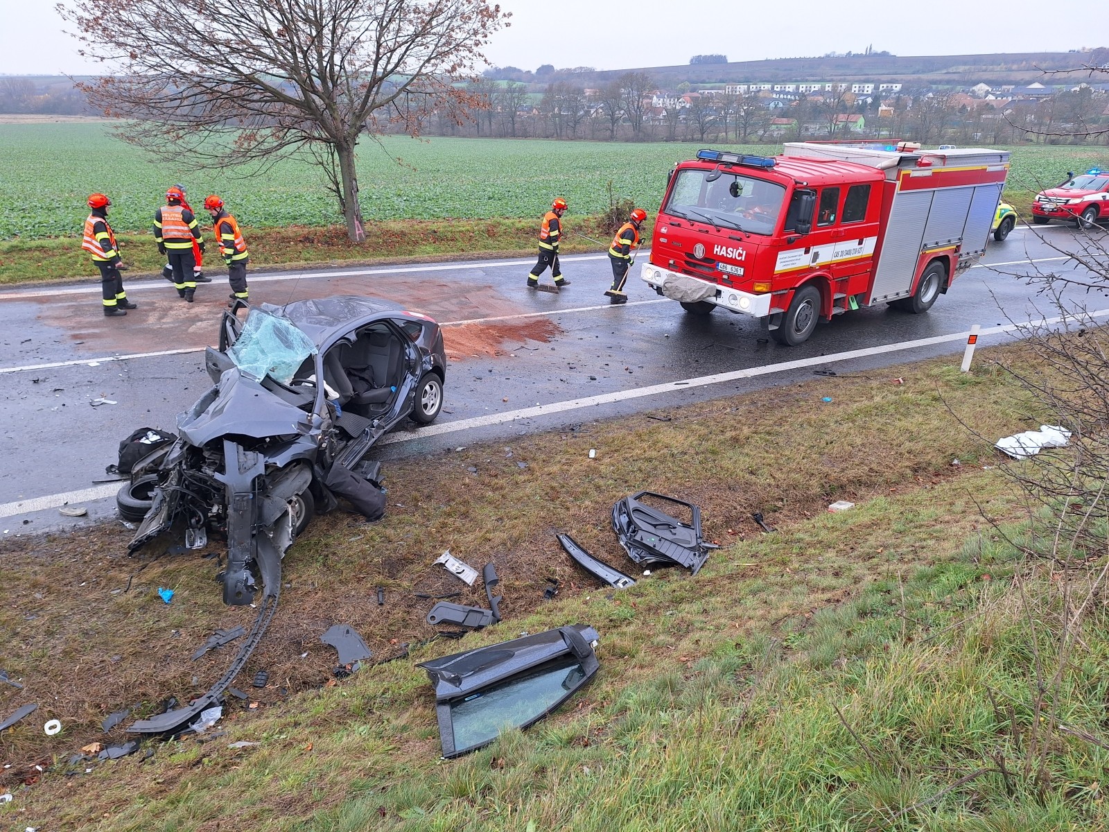 Miška († 39) zomrela po čelnej zrážke s dodávkou.