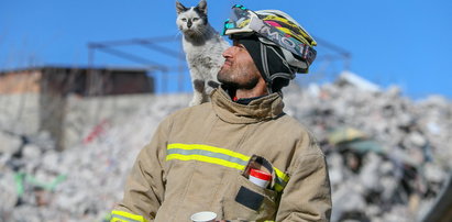 Trzęsienie ziemi w Turcji. Strażak adoptował kota, którego uratował spod gruzów. "Przejdziemy przez tę traumę, tuląc się do siebie"
