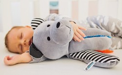 Szumiące misie podbijają świat. Polski start-up doceniony w USA