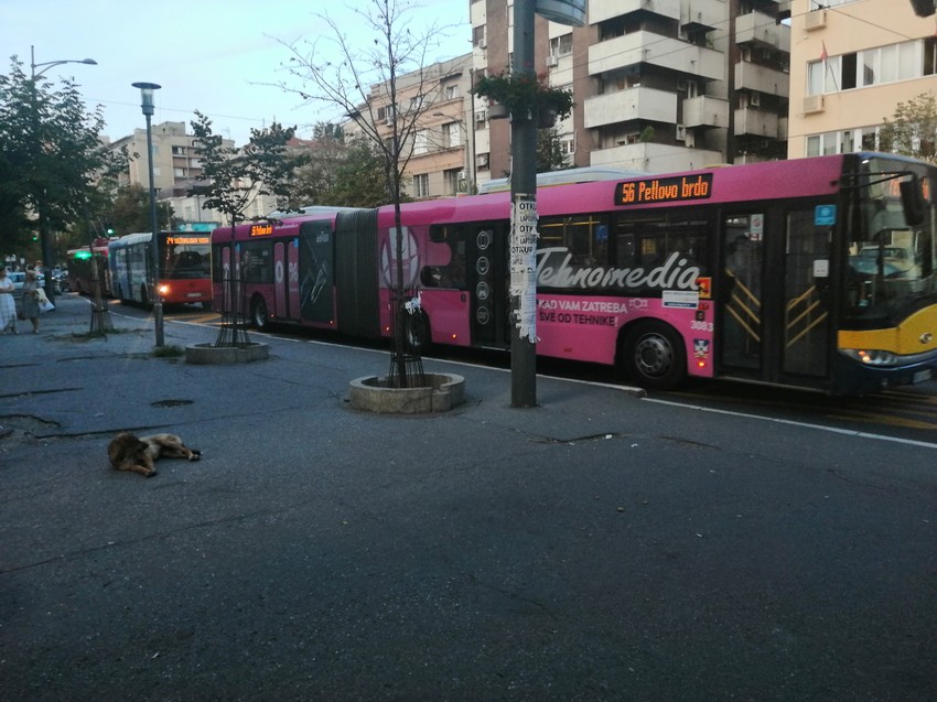 Autobusi menjaju trase