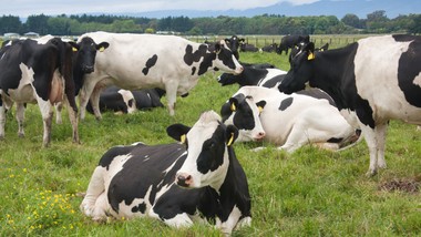 nowe dotacje dla rolników. 1 mln zł na modernizację budynków i 300 tys