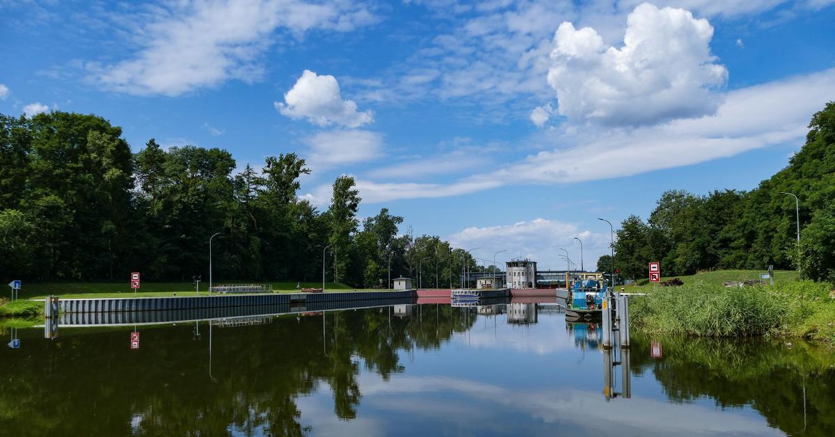  Katastrofa ekologiczna w Kłodnicy: Złota alga atakuje 