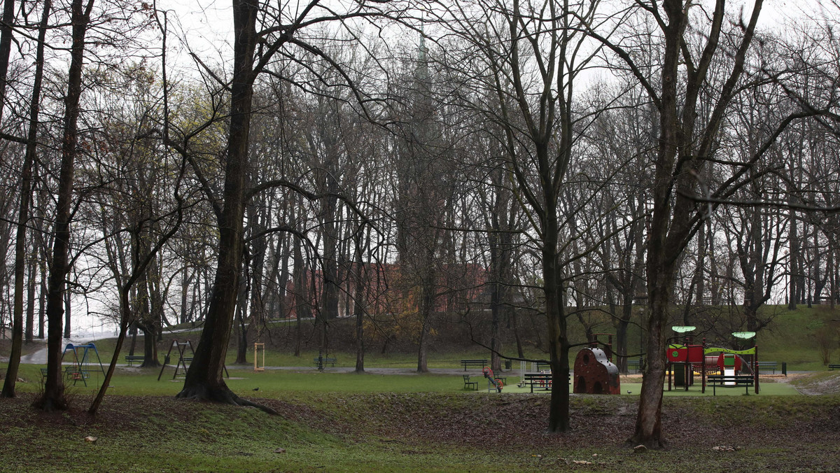 Kraków: Park Bednarskiego. Spór o remont zielonego terenu