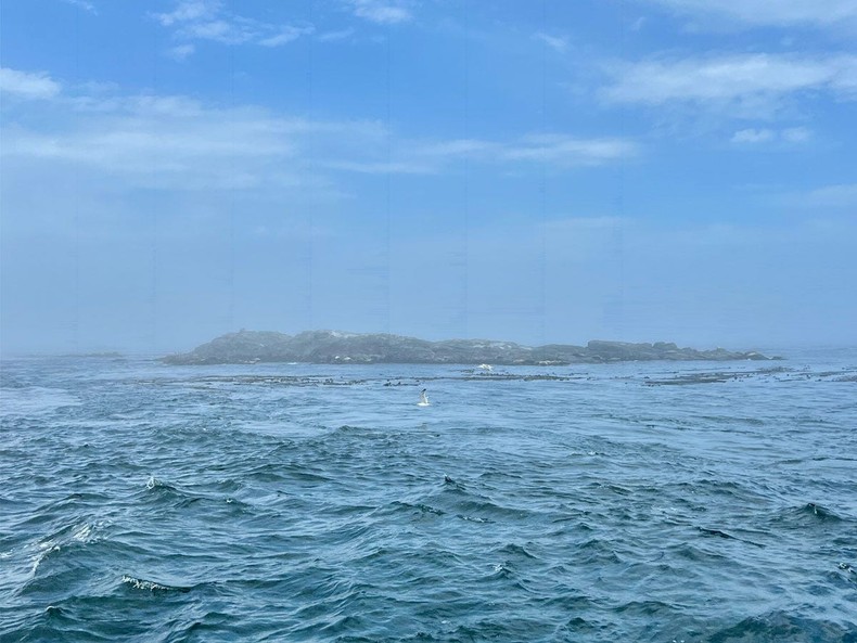 In terms of logistics, traveling from the US to Canada wasn't too challenging.I took a flight, but there's even a ferry from Seattle to Victoria. My cellphone still worked since my Verizon unlimited data plan carried over to Canada and Mexico.My credit card also worked, although I had to pay a small international service fee when I used it in Canada. However, these additional fees vary by credit card.I recommend withdrawing Canadian dollars out of the ATM for smaller purchases rather than using a credit card to pay for taxis or items at the market.