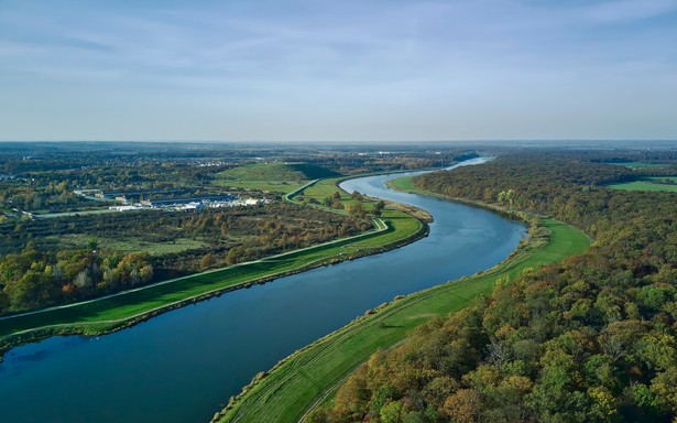 Odra nadal jest zagrożona zakwitem złotej algi. Nadal brakuje raealnego monitoringu rzek