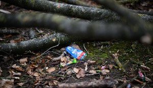 Nesreća u Nemačkoj