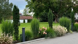 Wąska rabata wzdłuż podjazdu. Jakie bezproblemowe rośliny posadzić przed domem?