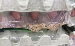 Larwy much w jajkach w lubelskim hipermarkecie. "Słychać szmer robali pod folią"