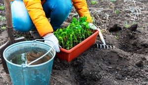 Bol u leđima od rada u bašti može da se spreči