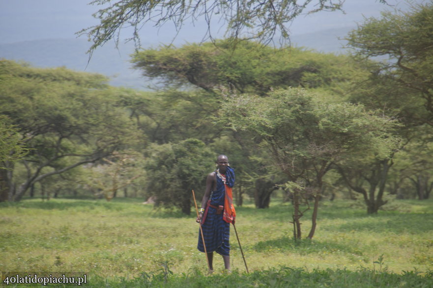 Nasze bociany i ich afrykańscy sąsiedzi podczas zimowania w kraterze Ngorongoro
