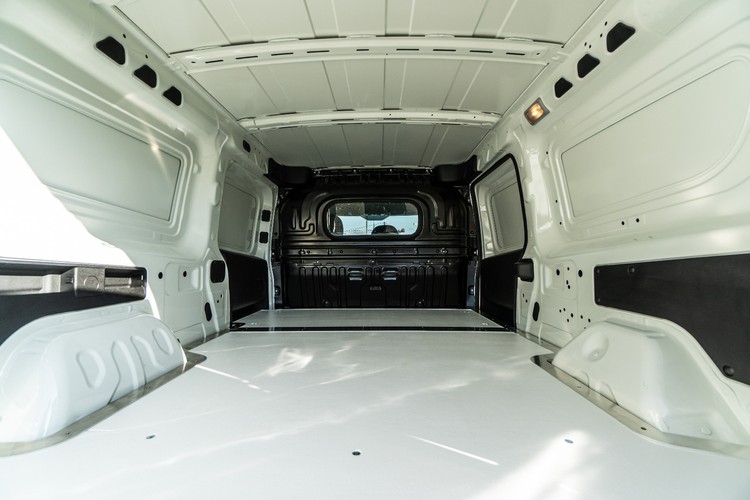 FSE M ma zaspokoić rosnący popyt na ekologiczny transport miejski. Zdaniem producenta, spełni też wymagania profesjonalnych kierowców w zakresie bezpieczeństwa, komfortu, oszczędności energii oraz niskich kosztów napraw i utrzymania samochodu. <br>
Pojazd FSE M, elektryczny lekki samochód dostawczy w klasie do 3,5 t masy całkowitej pojazdu, będzie oferowany w czterech różnych rozmiarach, z przestrzenią ładunkową od 3,4 m3 do 4,6 m3 i ładownością do 600 kg.