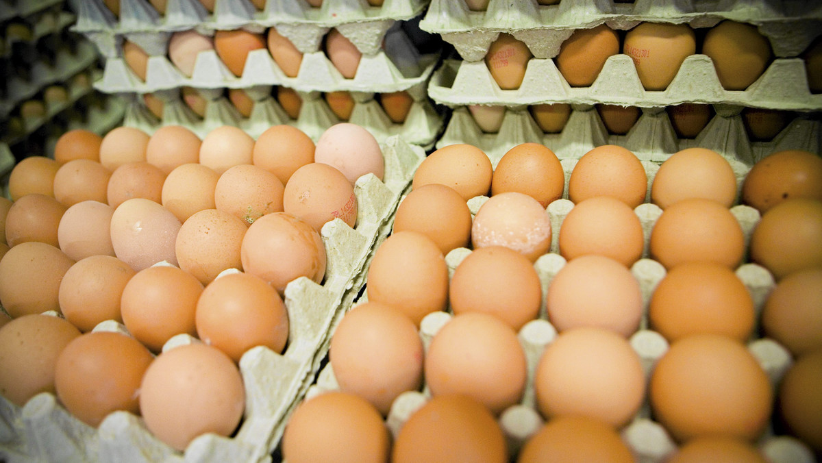 Susz jajeczny z Kalisza zawierał toksyczny kadm, ołów i bakterie coli. W całym kraju dodawano go do jedzenia - alarmuje "Gazeta Wyborcza".