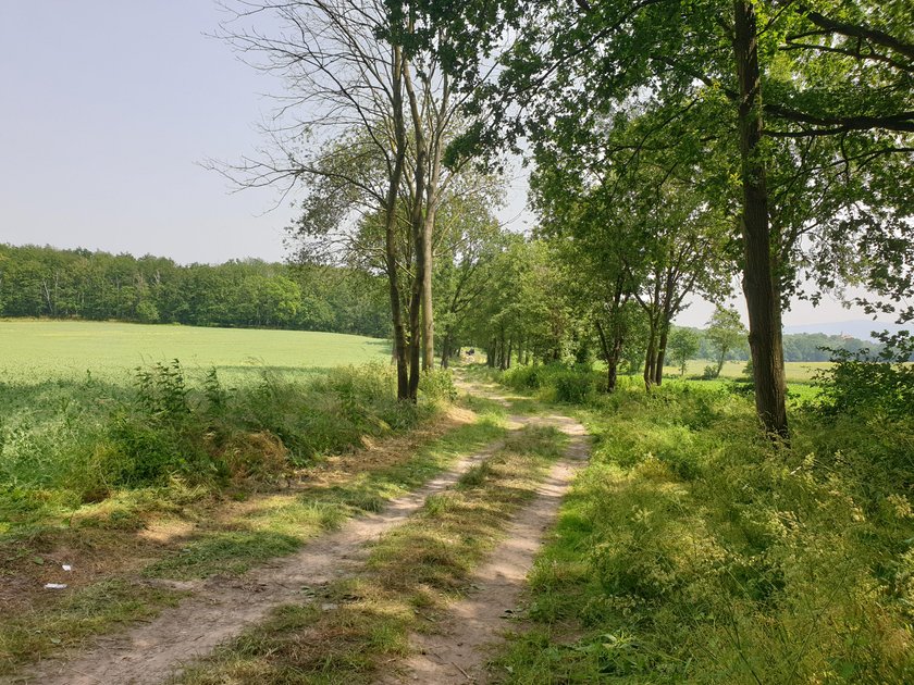 Zabójstwo Kristiny