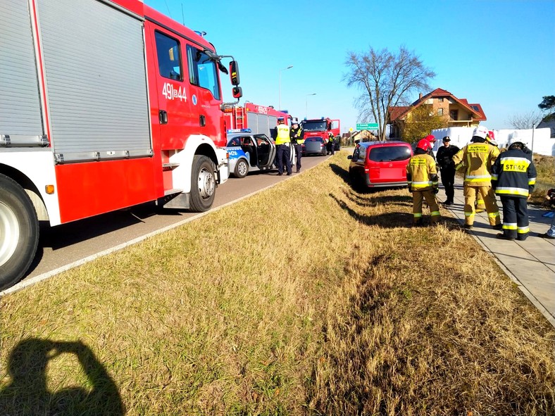 W busie jechało dziewięciu cudzoziemców, wśród nich czworo dzieci