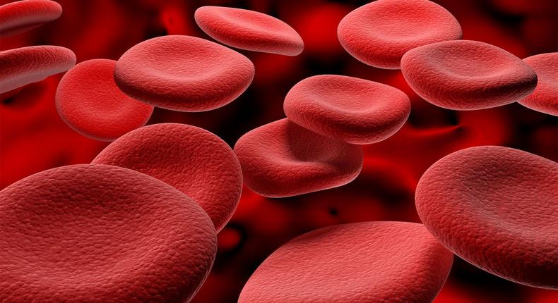 You need to keep your blood clean [Britannica]