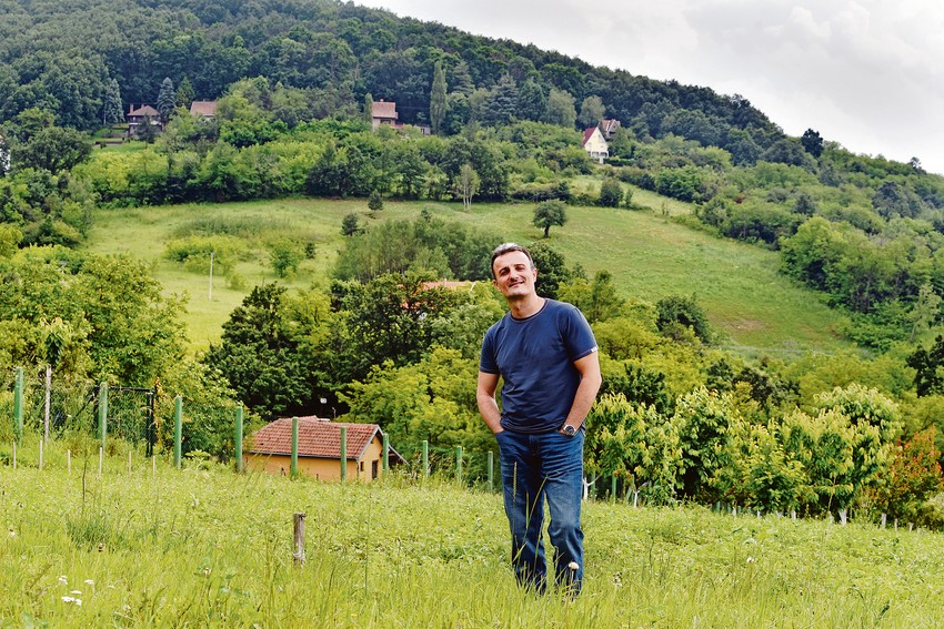 Ivan Milinković - Na gajbi kod 