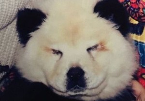 553837_b5ol8ftceaay0x7