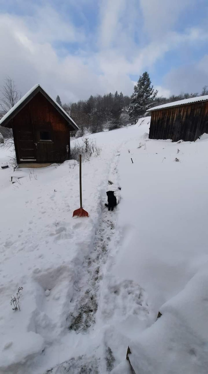 Na Murtenici je palo 25 centimetara snega