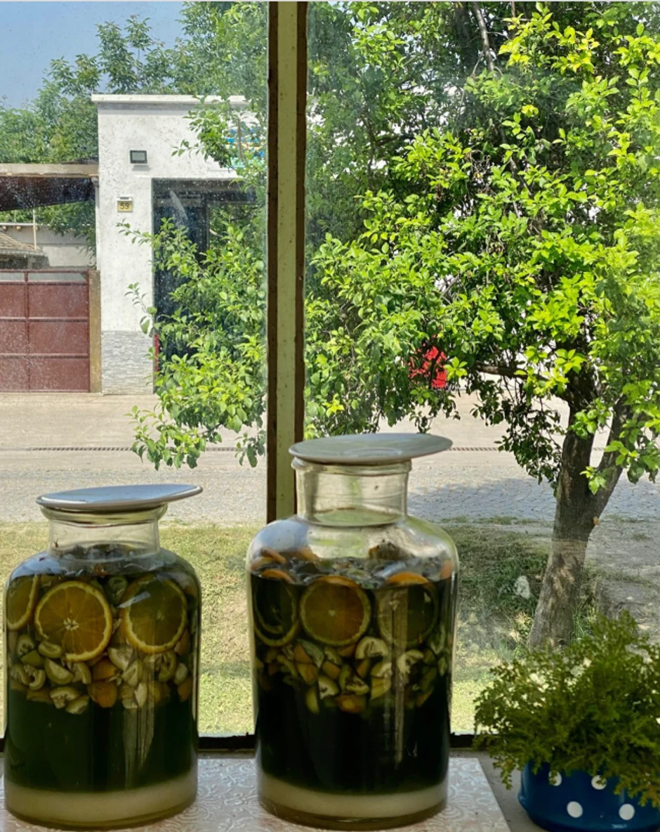 Bivša žena Jovana Memedovića ima kuću na selu