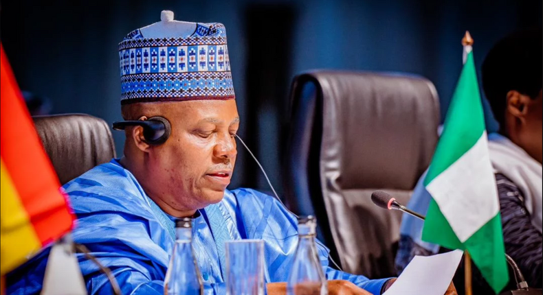 Vice President, Kashim Shettima. [Presidency]