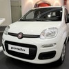 Fiat Panda/Ilustracija