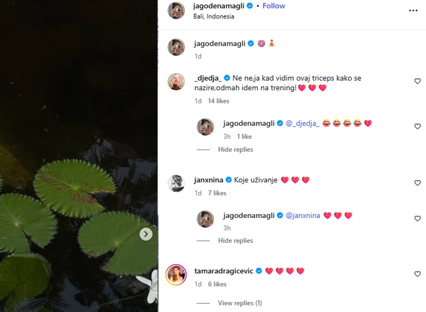 Jelisaveta Orašanin, objava