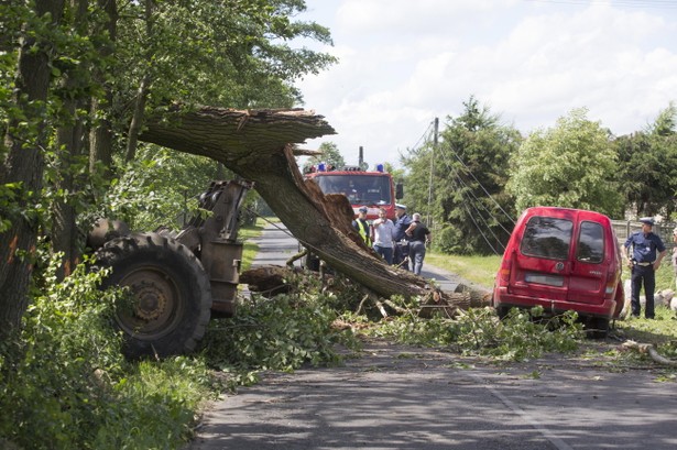 Zgierz, 17.06.2016. Miejsce wypadku w Zgierzu, 17 bm. Jedna osoba nie żyje, a dwie zostały ranne, gdy konar drzewa spadł na jadący samochód. Do wypadku doszło w wyniku wichury. jaka przeszła w piątek nad Łodzią i regionem. (kru) PAP/Grzegorz Michałowski