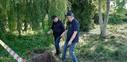 Poszukiwania Iwony Wieczorek. Znaleziono kości. Śledczy ustalili ich pochodzenie