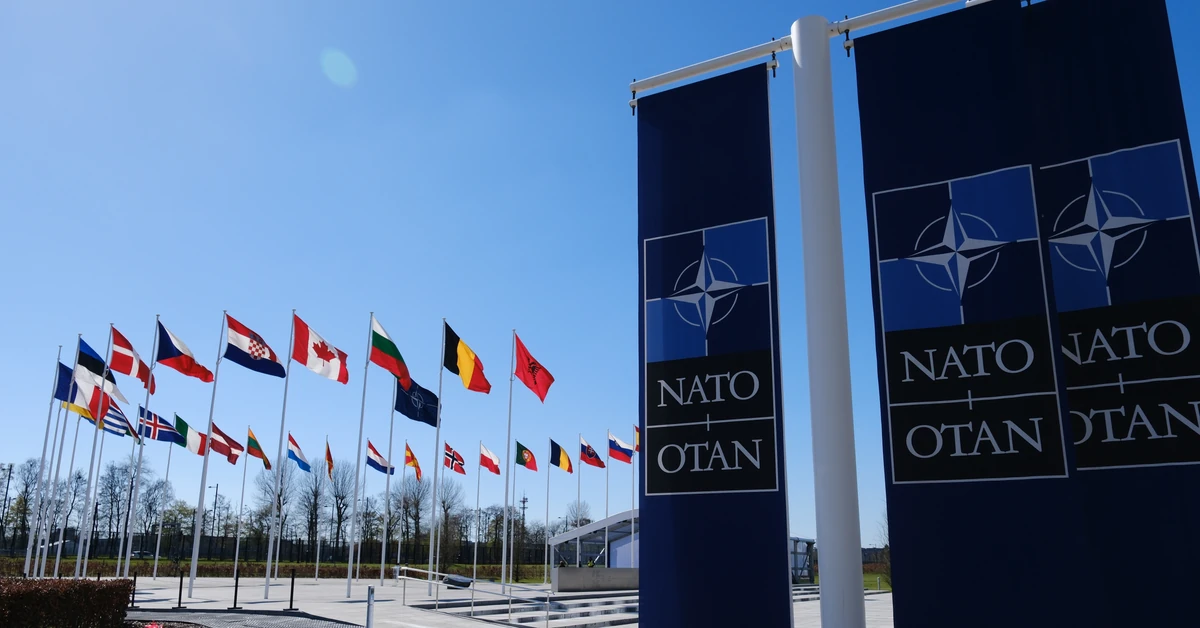 "NATO jest skończone. Trump sam to potwierdził". Niemcy nie mają złudzeń