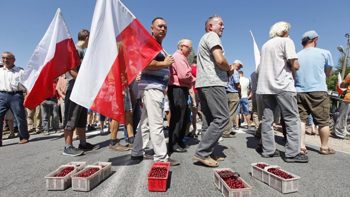 Minister rolnictwa jest gotowy w tym tygodniu do spotkania z protestującymi sadownikami. Marek Sawicki mówi jednak wprost - nie ma szans na interwencyjny skup porzeczek i innych owoców miękkich.