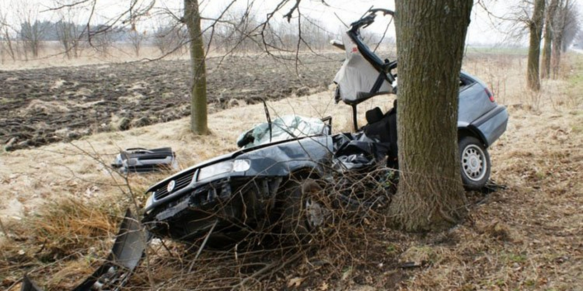 Kierowca zabił się na drzewie. Wpadł w poślizg